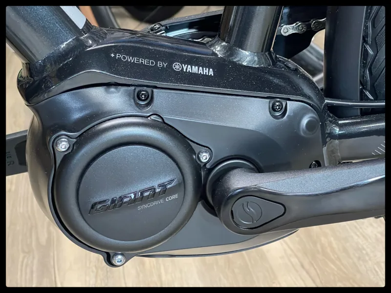 Giant Entour E+ 2 GTS 25km/h Medium Gunmetal Black 2022-8